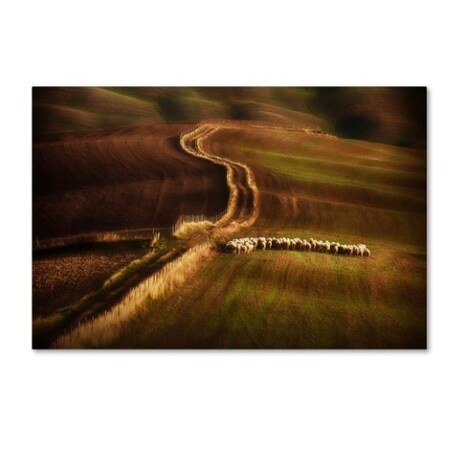 Trademark Fine Art Peter Svoboda 'Crossing The Fields' Canvas Art, 16x24 1X01045-C1624GG